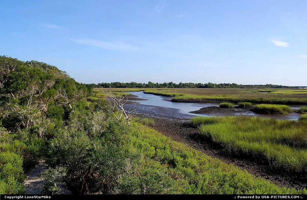 Willie Browne in the Theodore Roosevelt area of the Timucuan Ecological and Historic Pr...