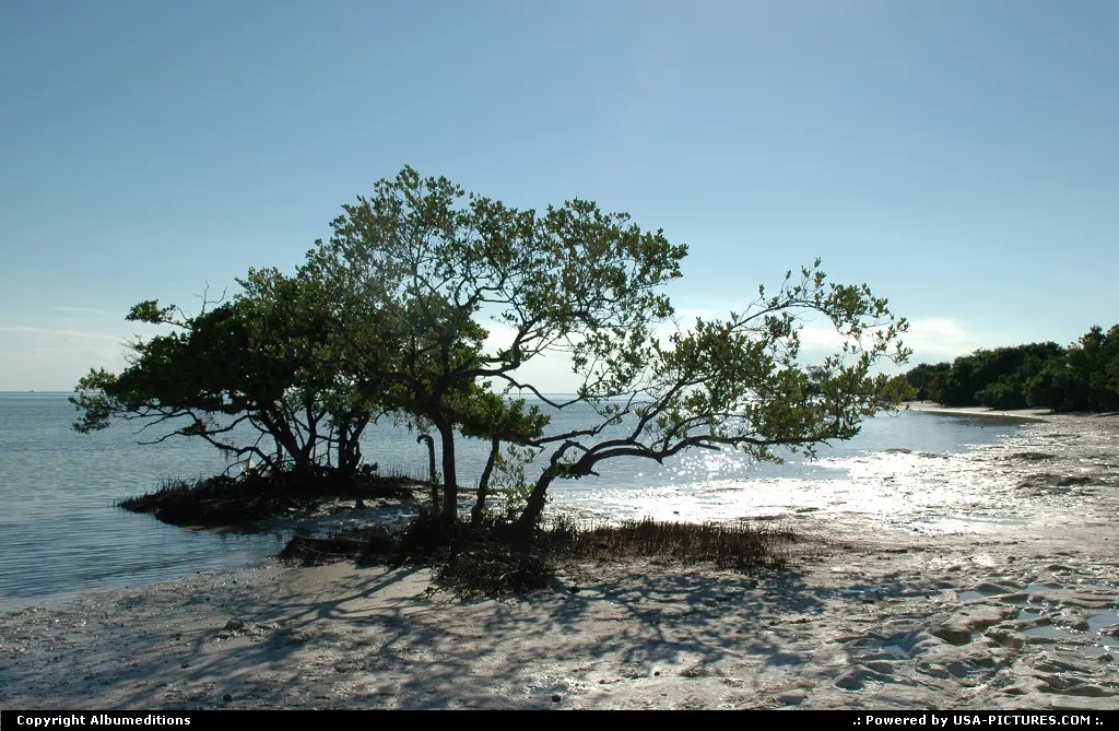 Bahia Honda State Park, Florida Keys. For webgallery see: www.caribbean-editions.nl