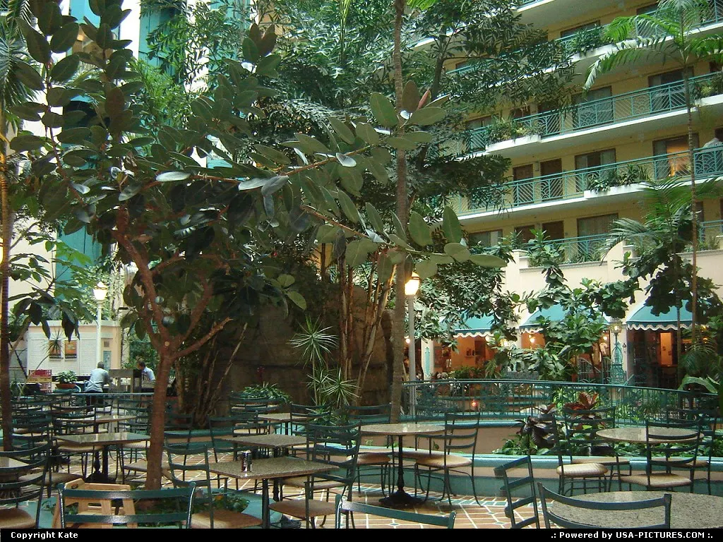 Embassy Suites Miami Airport, inside! A great place to stay.