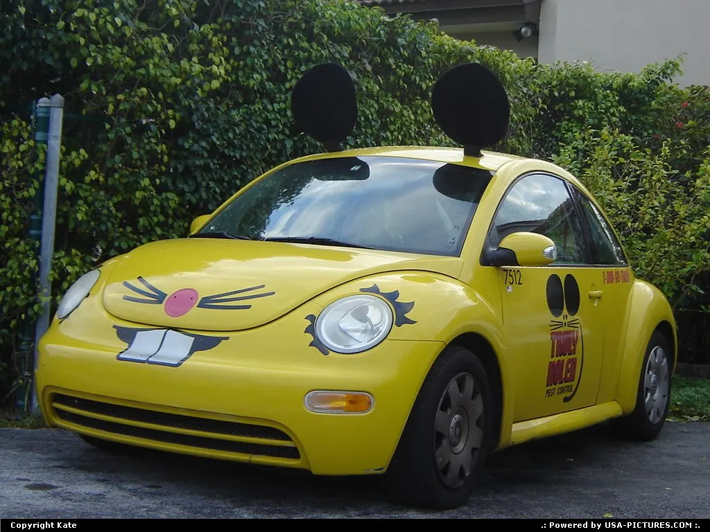 Beetle... Or rabbit ?