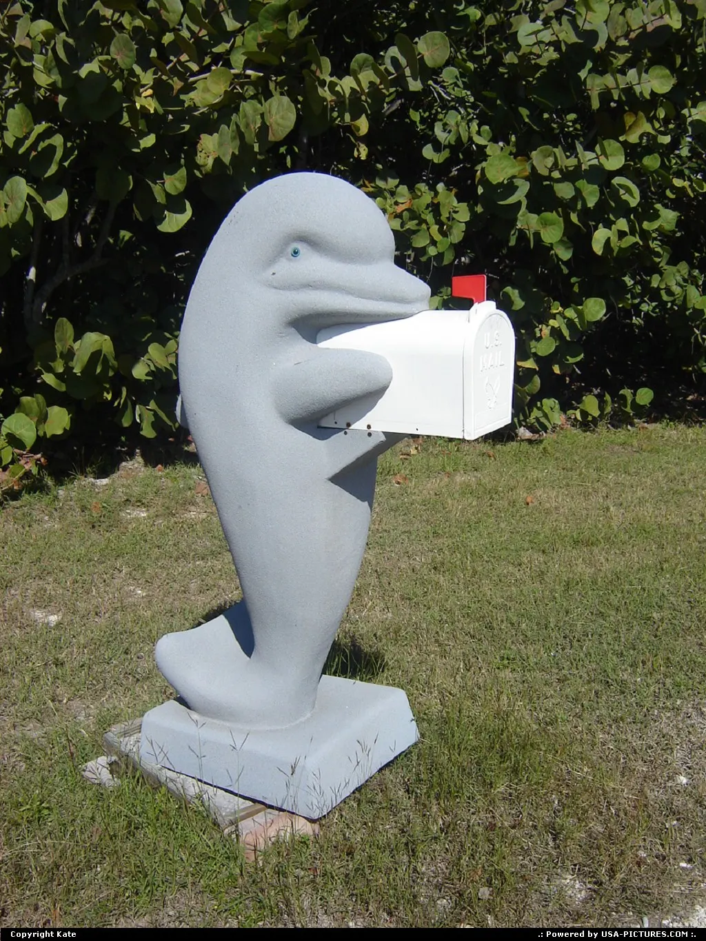 Love this mailbox! I want the same one...