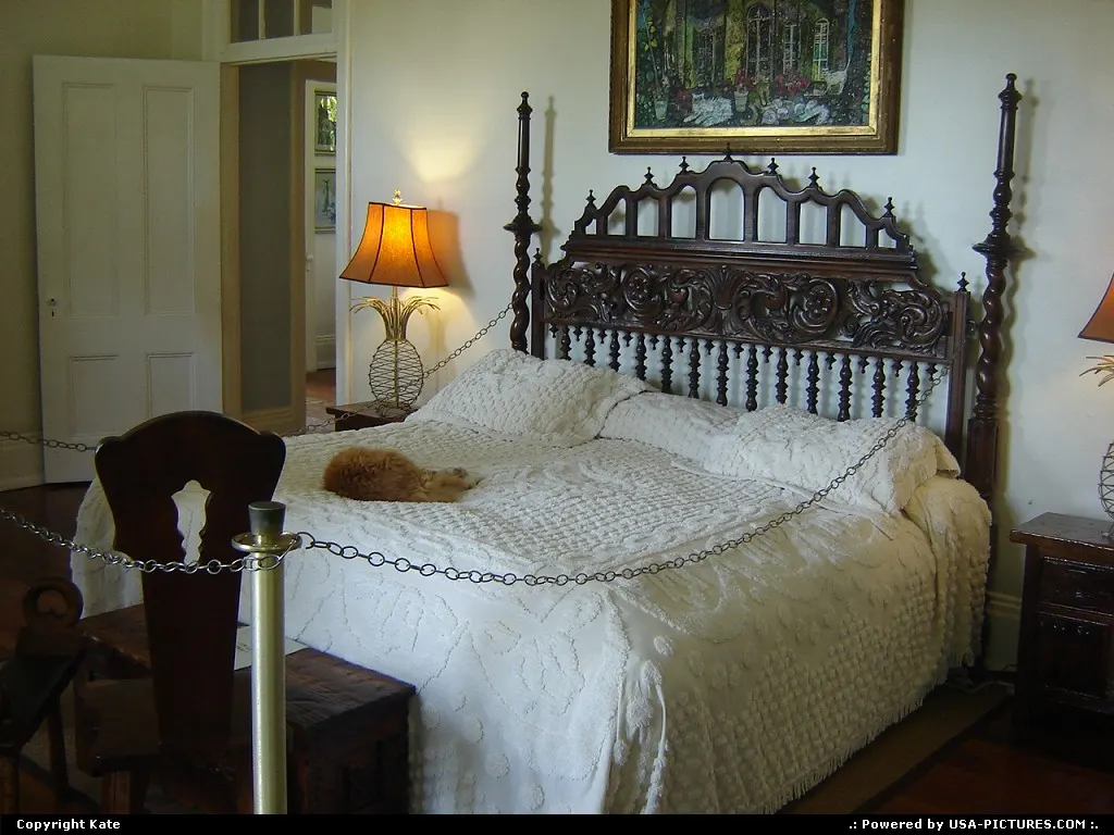 Ernest Emingway home... of 58 cats, in the tradition of the author's passion for felines.