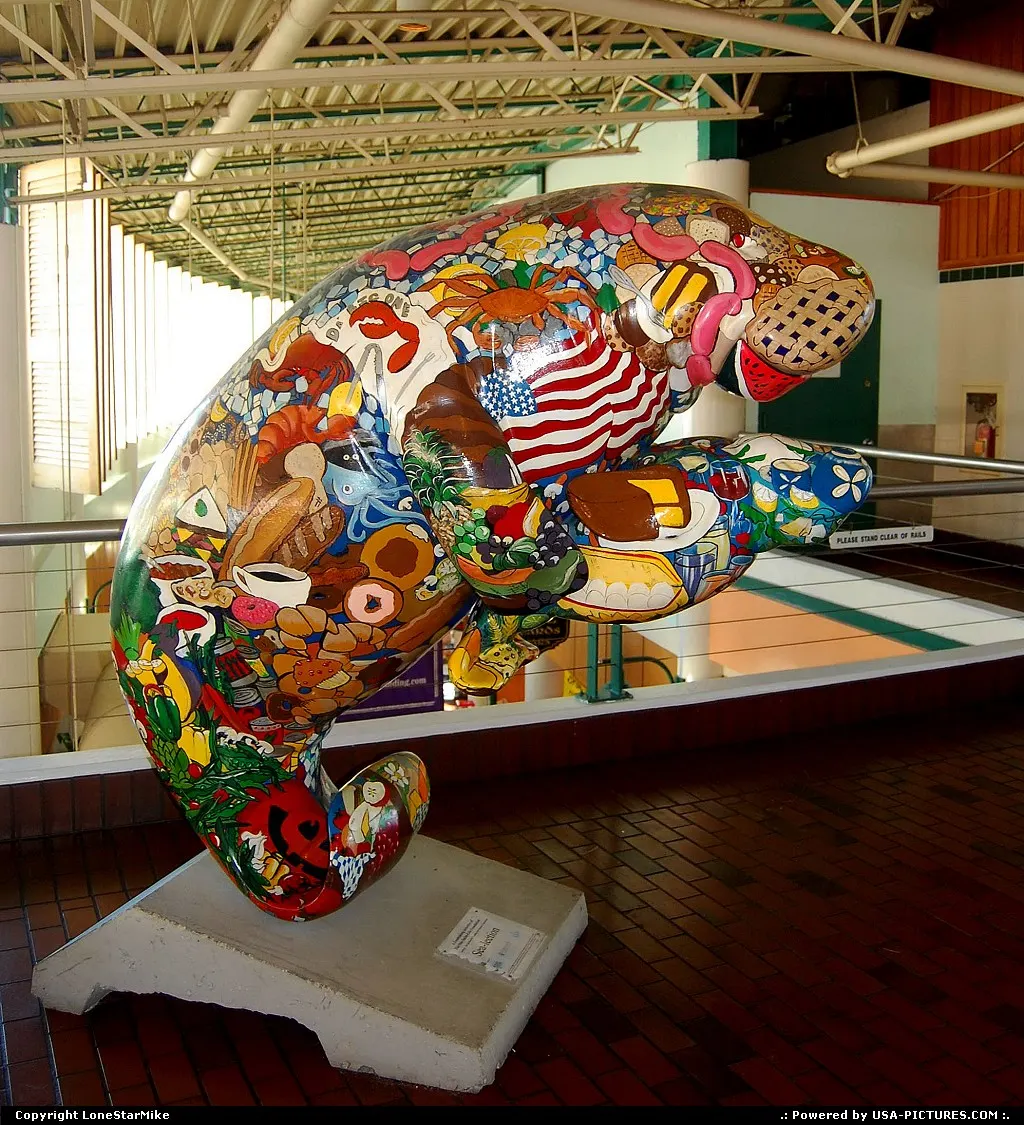 Manatee art at Jacksonville Landing
