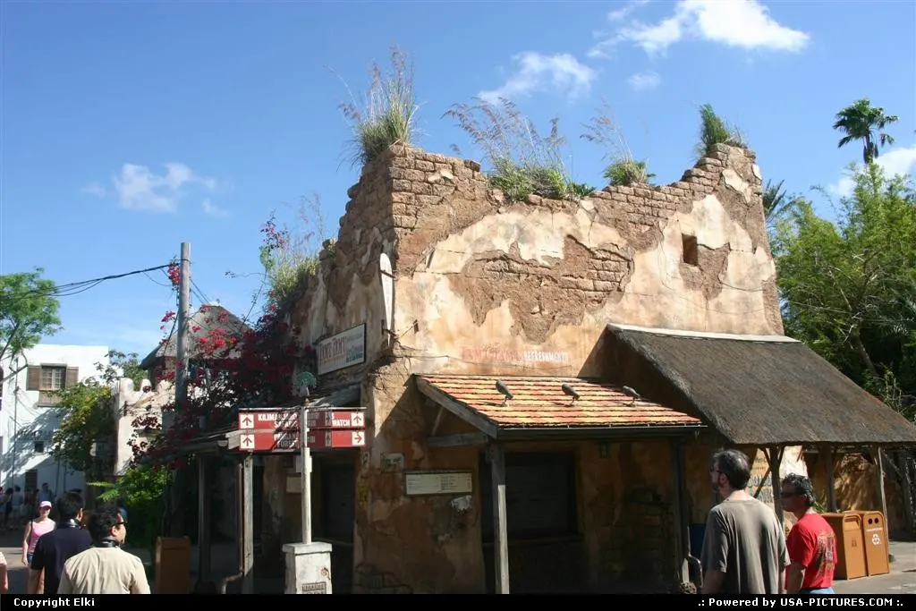 Animal Kingdom (Disney)