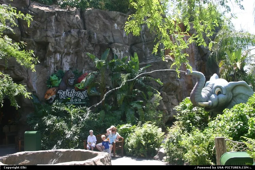 Animal Kingdom