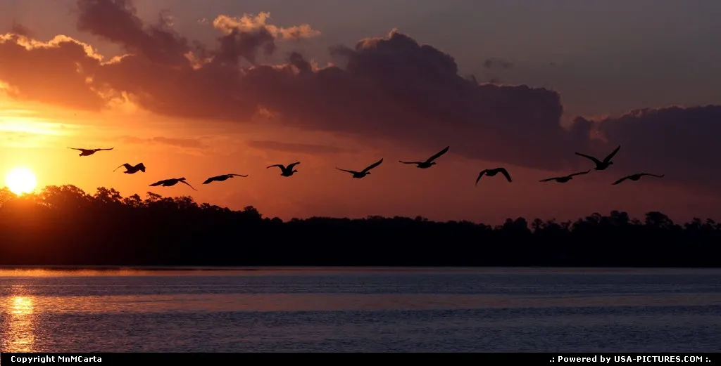 Sunrise over Cedar River in Jacksonville Florida