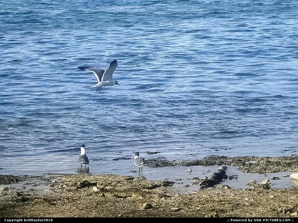 Miami Florida sea