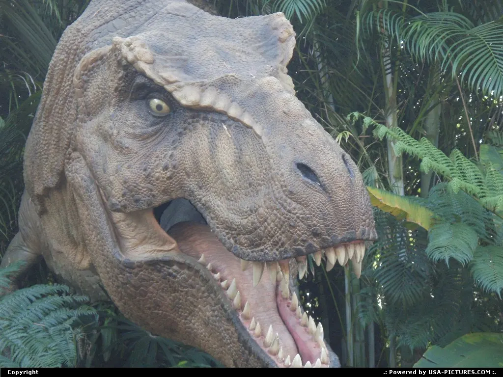 universal park adventure island