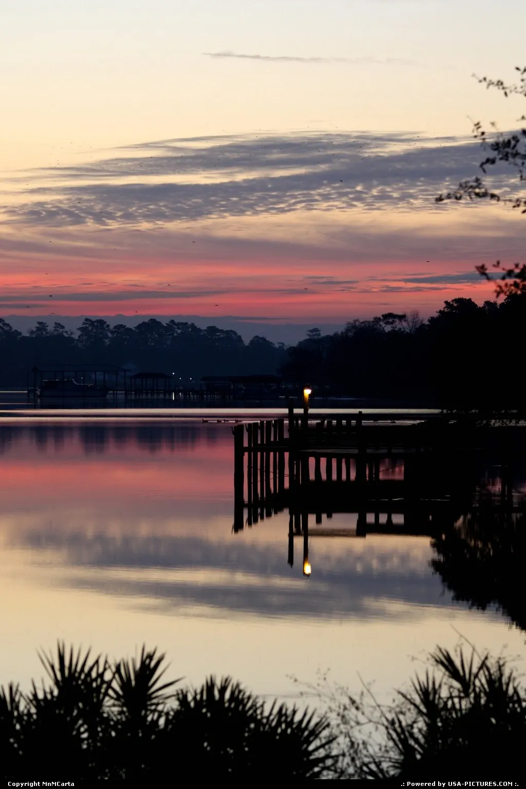 Jacksonville Florida sunrise,geese,nature,light,sillouette,birds,geese,canadian,river,