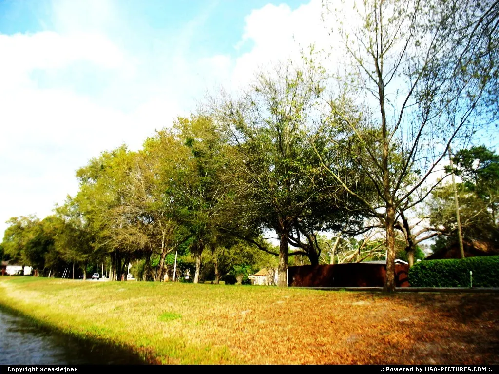 Apopka Florida
