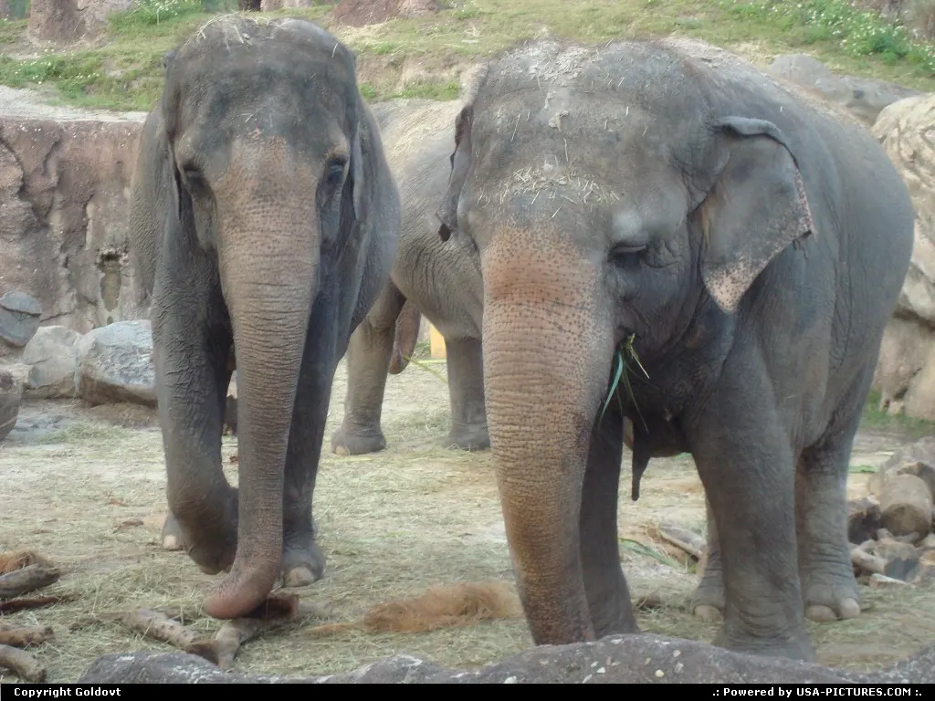 A family of three.