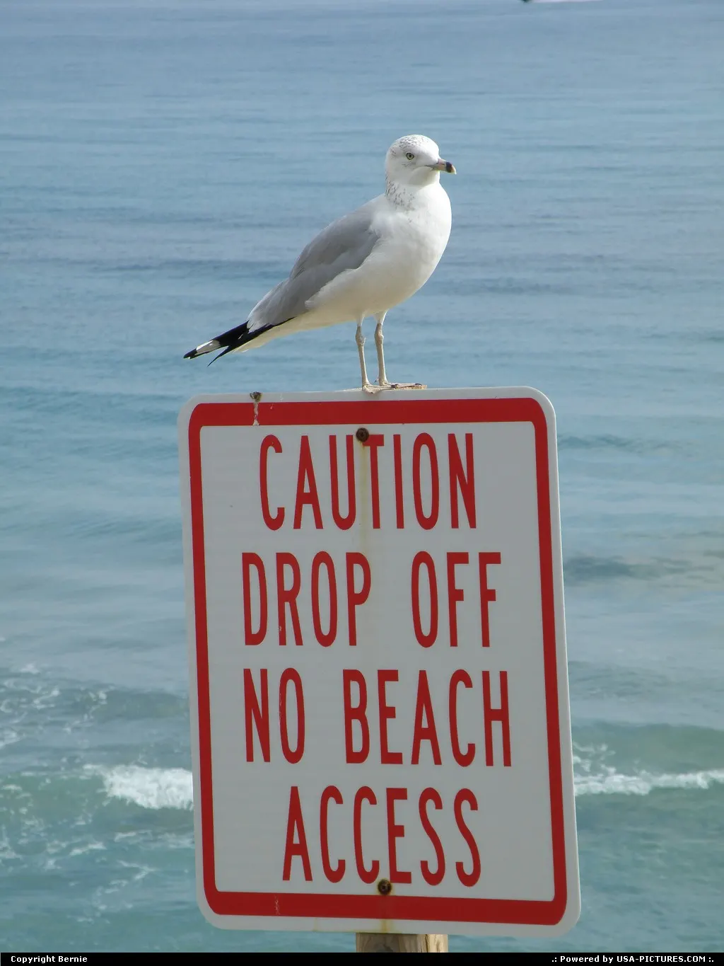 Lantana Beach