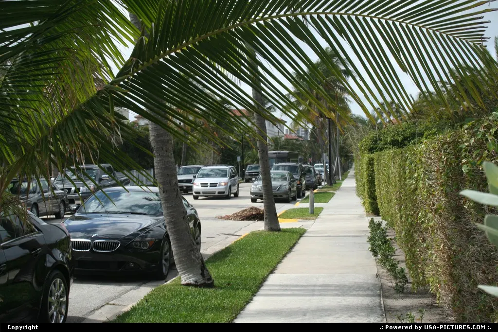 Palm beach street