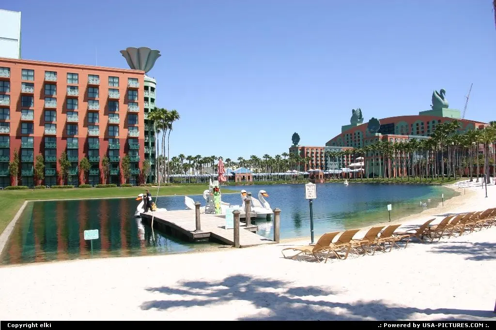 The Walt Disney Swam and Dolphin resort, near Epcot