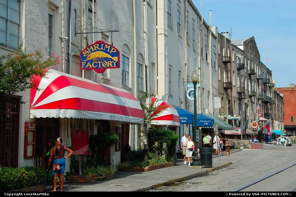 Historic buildings along Savannah's waterfront