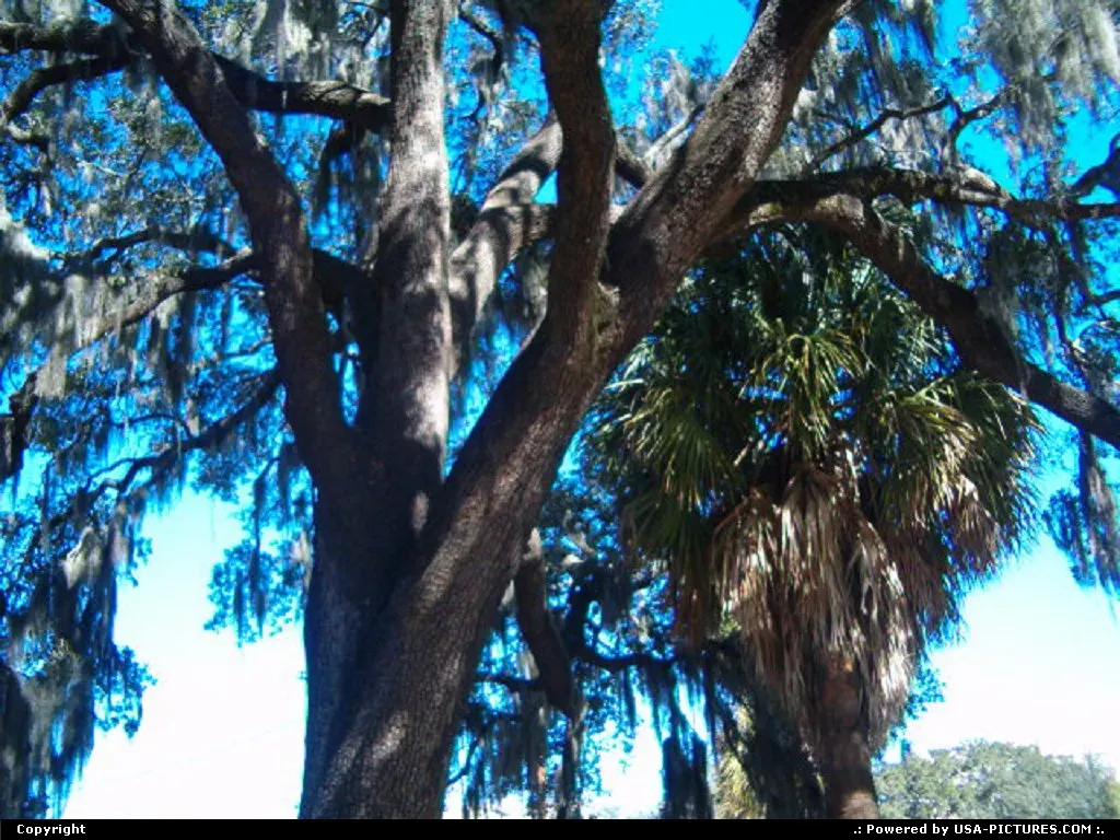 Savannah Georgia