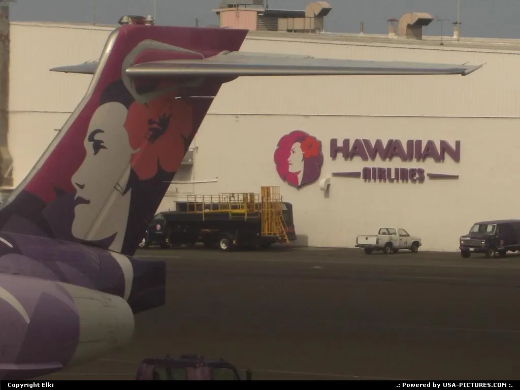 Beautiful Hawaiian logo