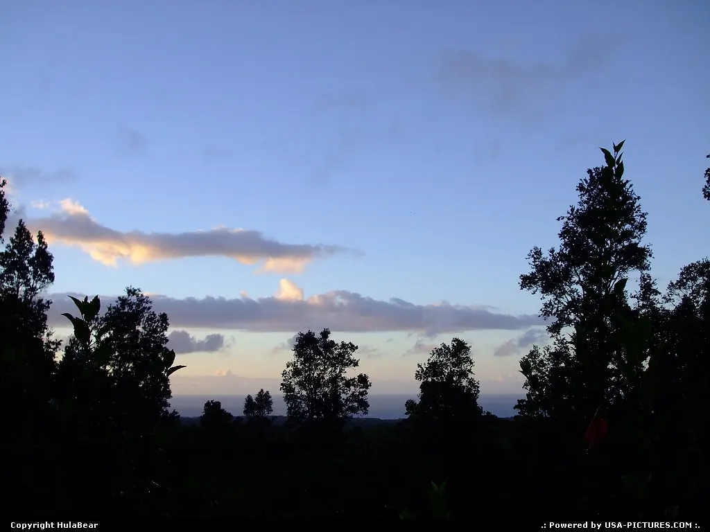 dawn on a fruit farm in the Puna district on the Big Island of Hawaii July 17, 2006
