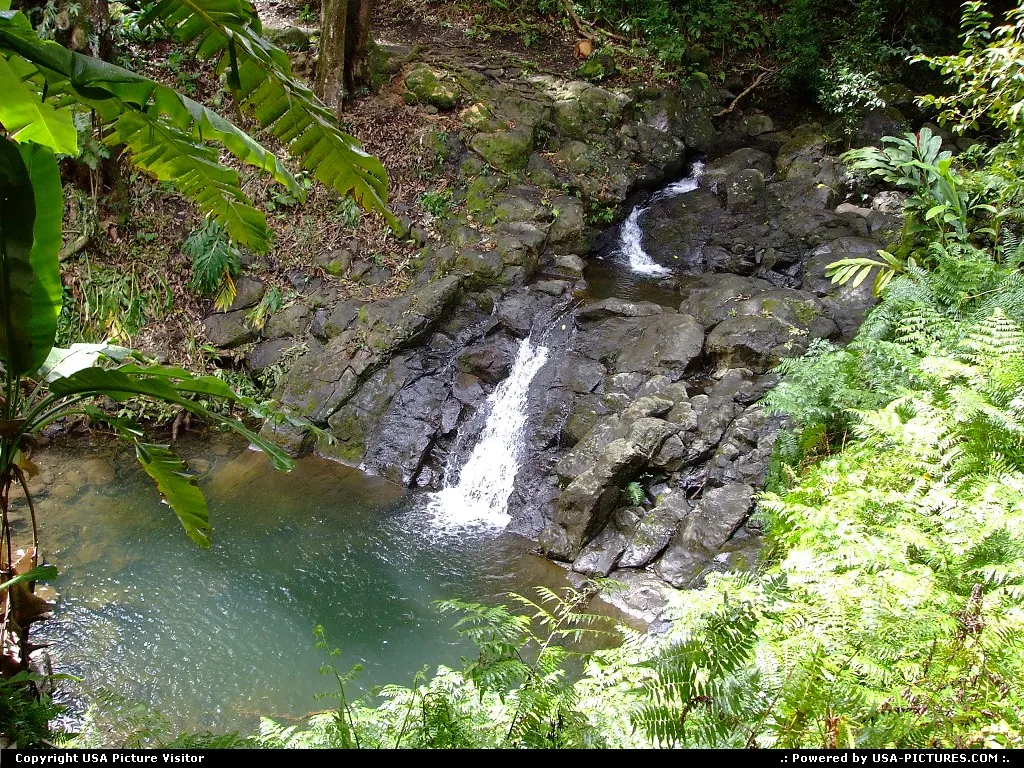 Alaalaula Falls about 6 miles west of Hana on south side of Maui; noon 03/23/2010.