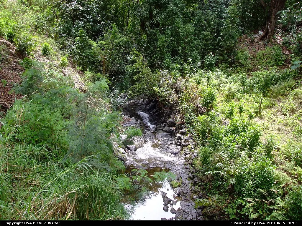 Alaalaula Falls about 6 miles west of Hana on south side of Maui; noon 03/23/2010.