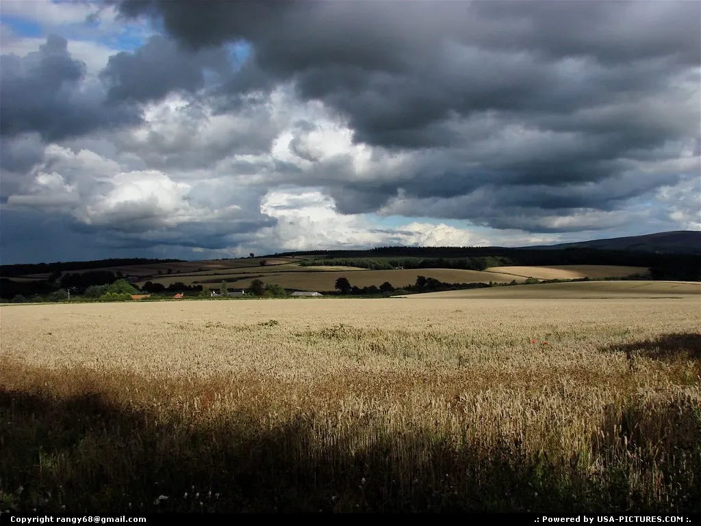 dark clouds over wheat fields in Idaho