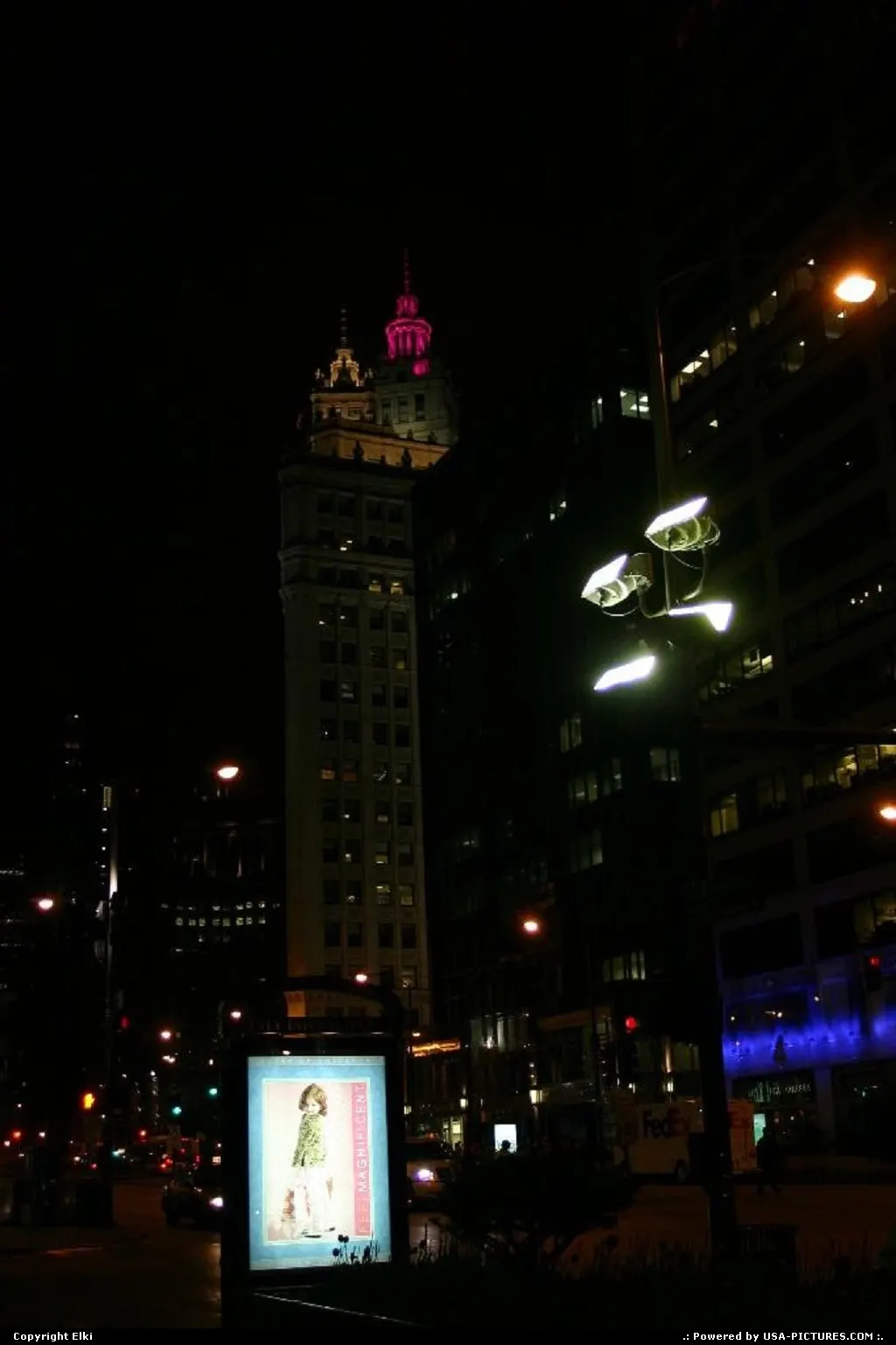 Downtown Chicago by night
