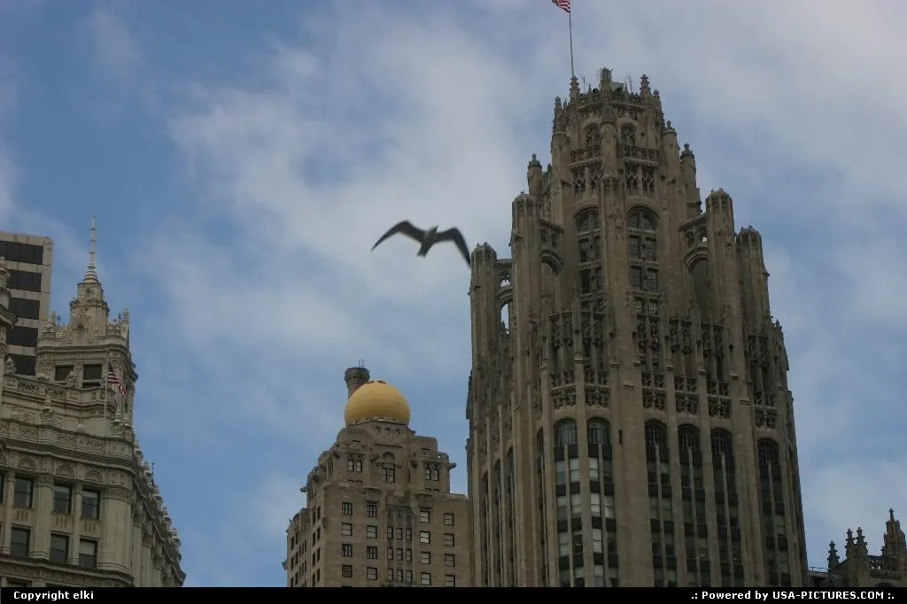 The chicago tribune tower.