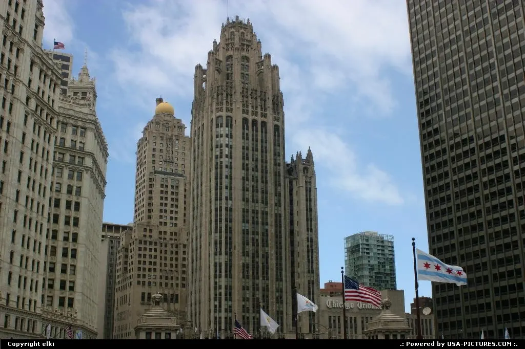 The chicago tribune tower.