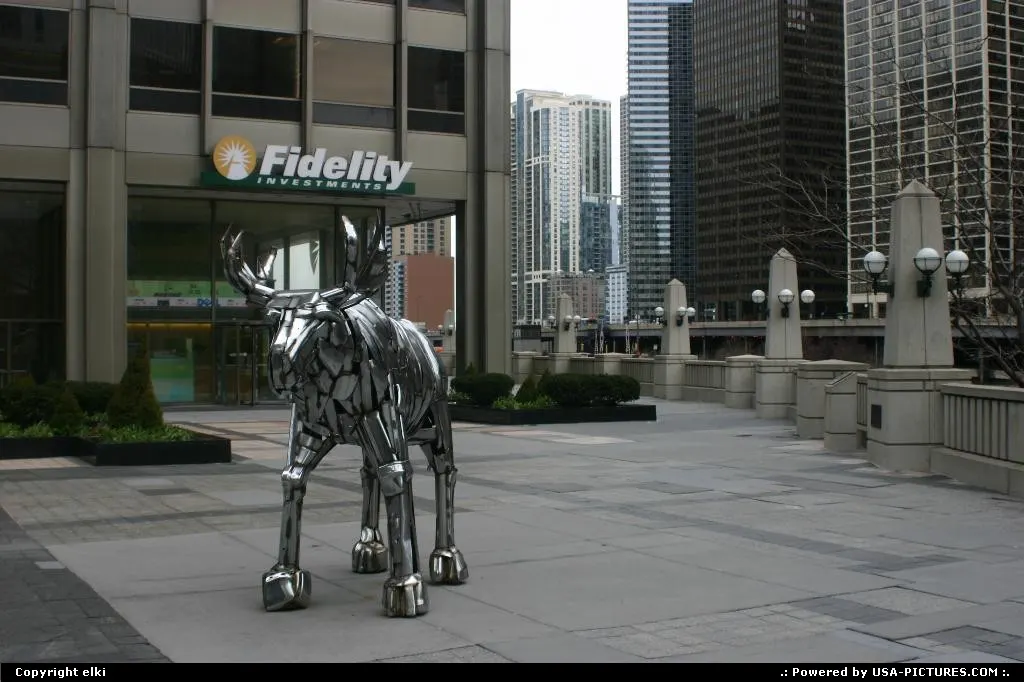 Steel moose sculture located at the botom of the chicago tribune tower.