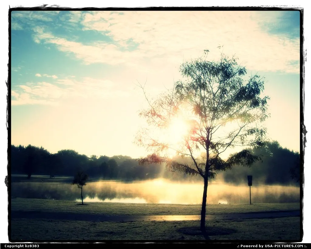 morning fog