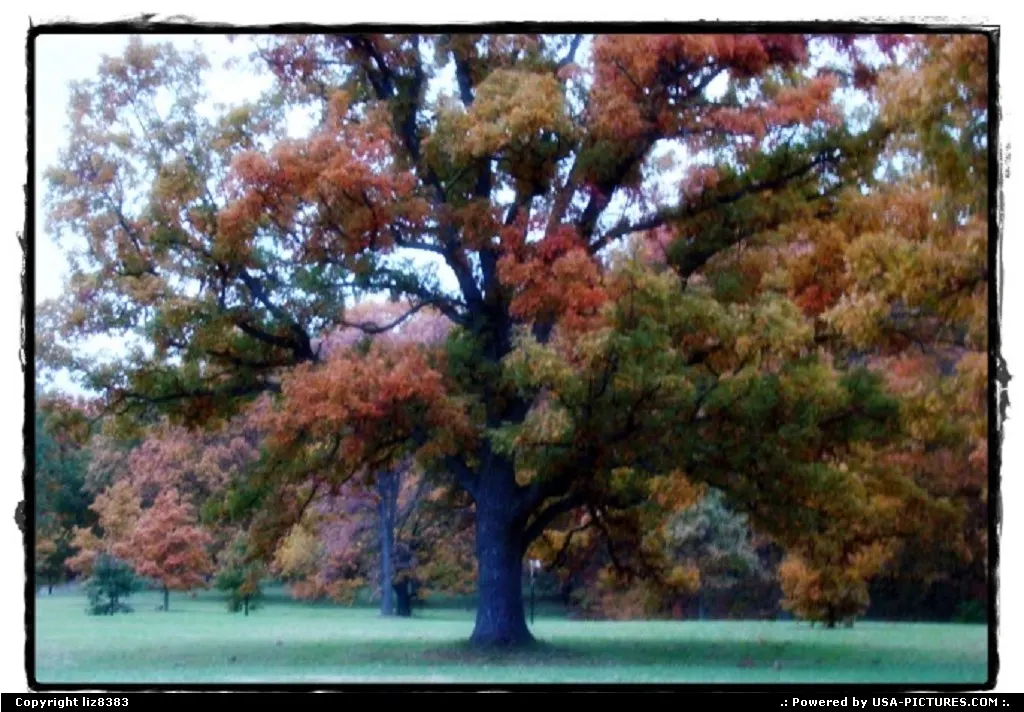 the beauty of fall