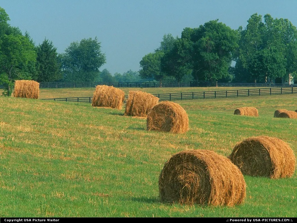 Summer Harvest - Kentucky