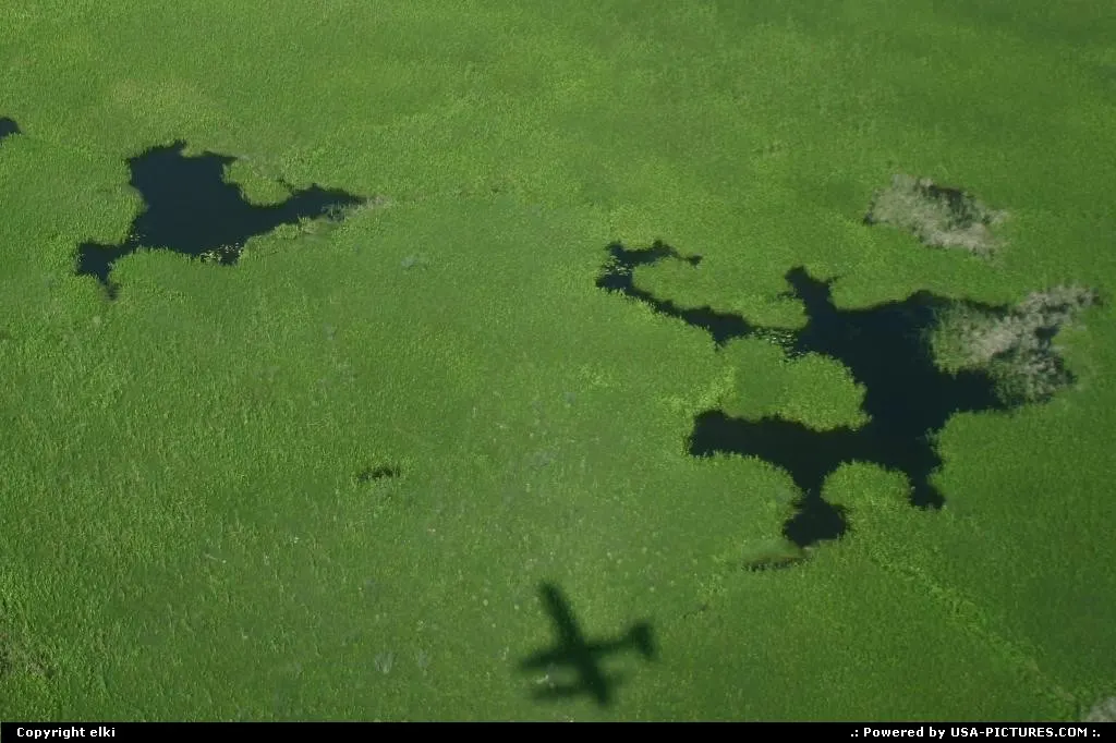 flying over the bayou closed to New Orleans.