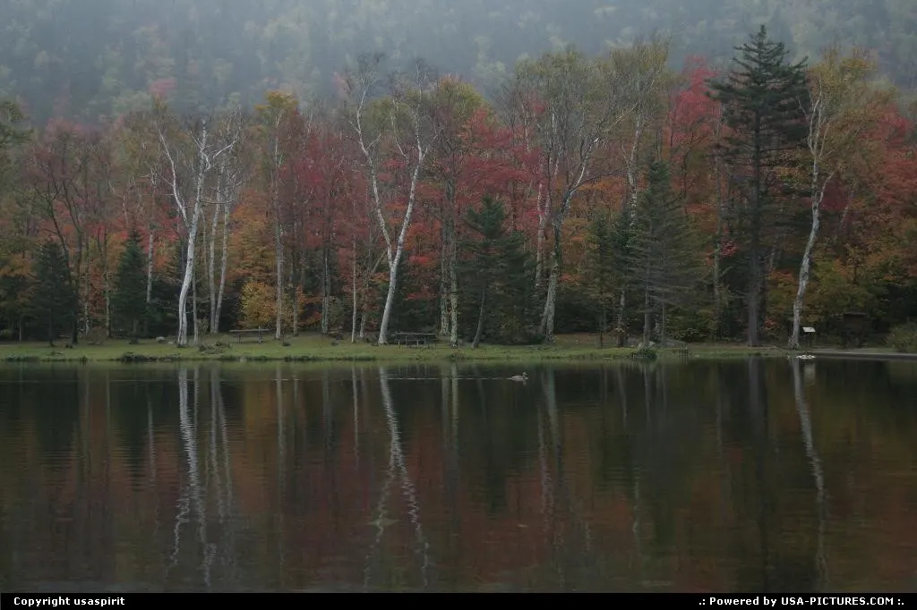 Fall season, maine