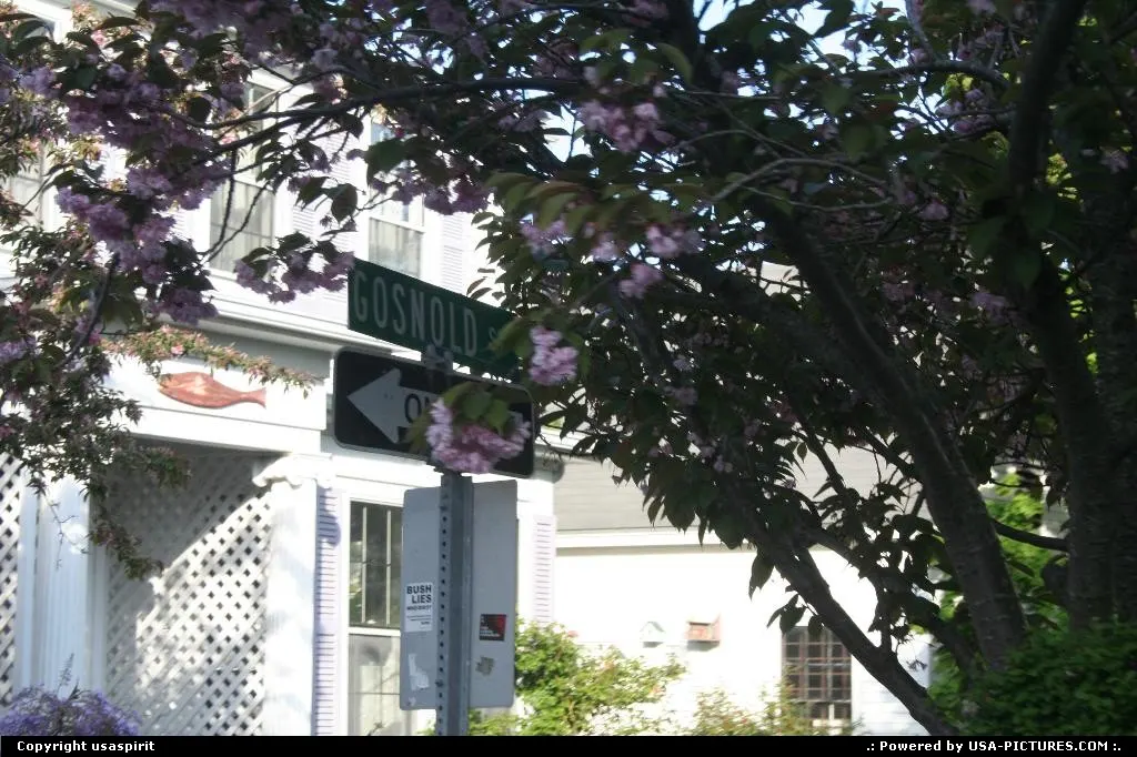 Provincetown cape code