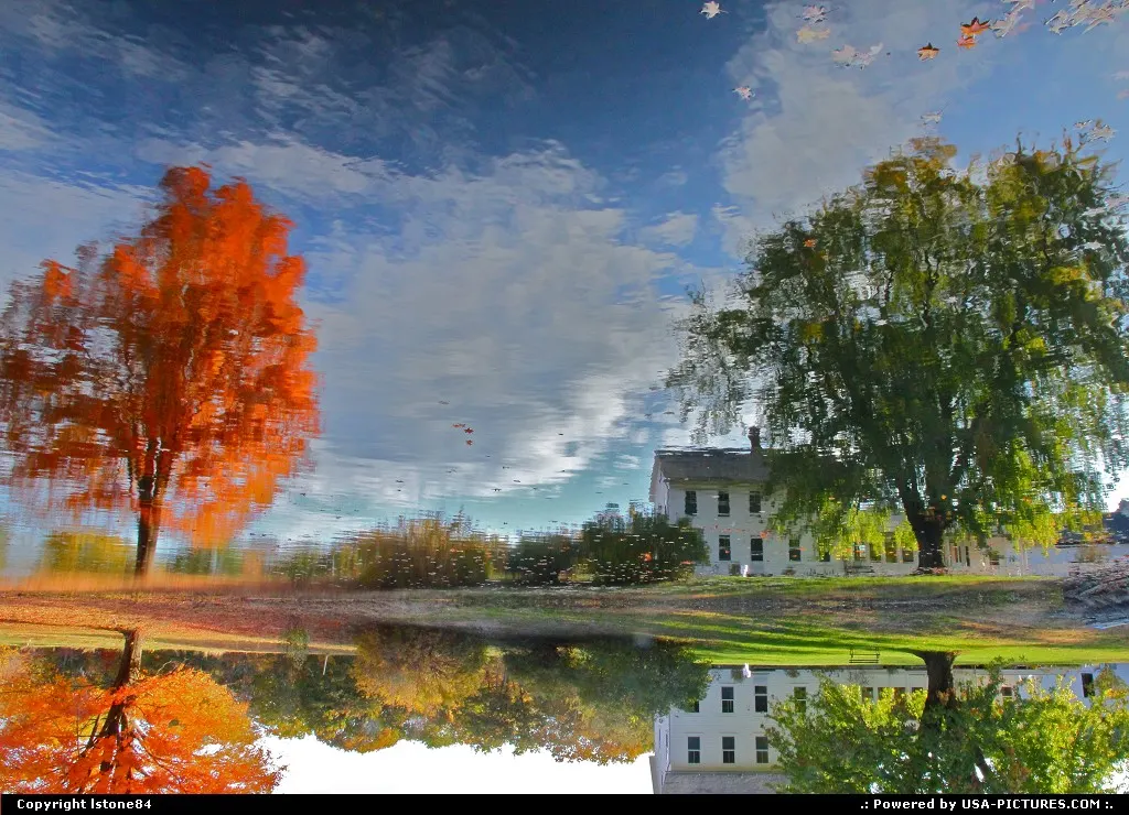 Pond Reflection