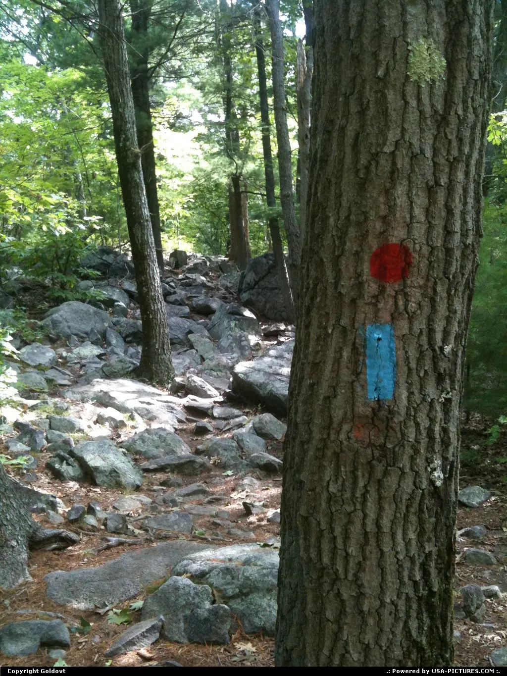 Rocky roads of blue hills. Blue hills runs for miles and miles around south Boston.