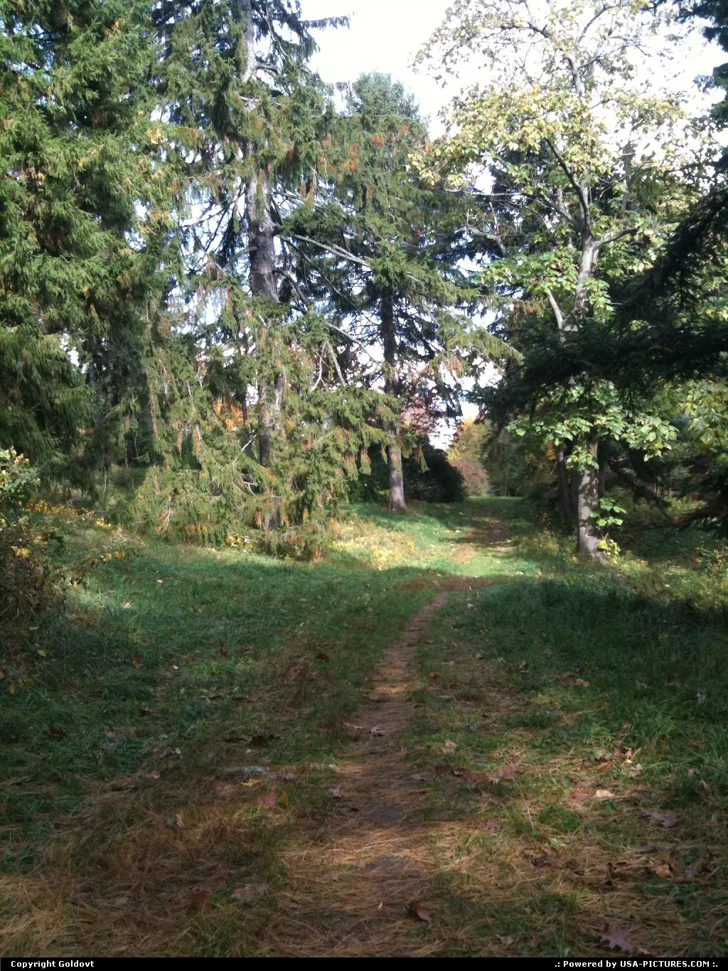 Boston's emerald necklace. A walk in the park.