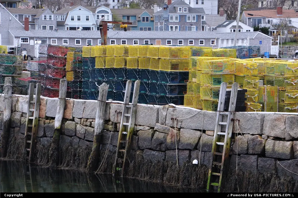 Lobsters traps awaiting yet another dive, with plenty of precious fella to be caught.