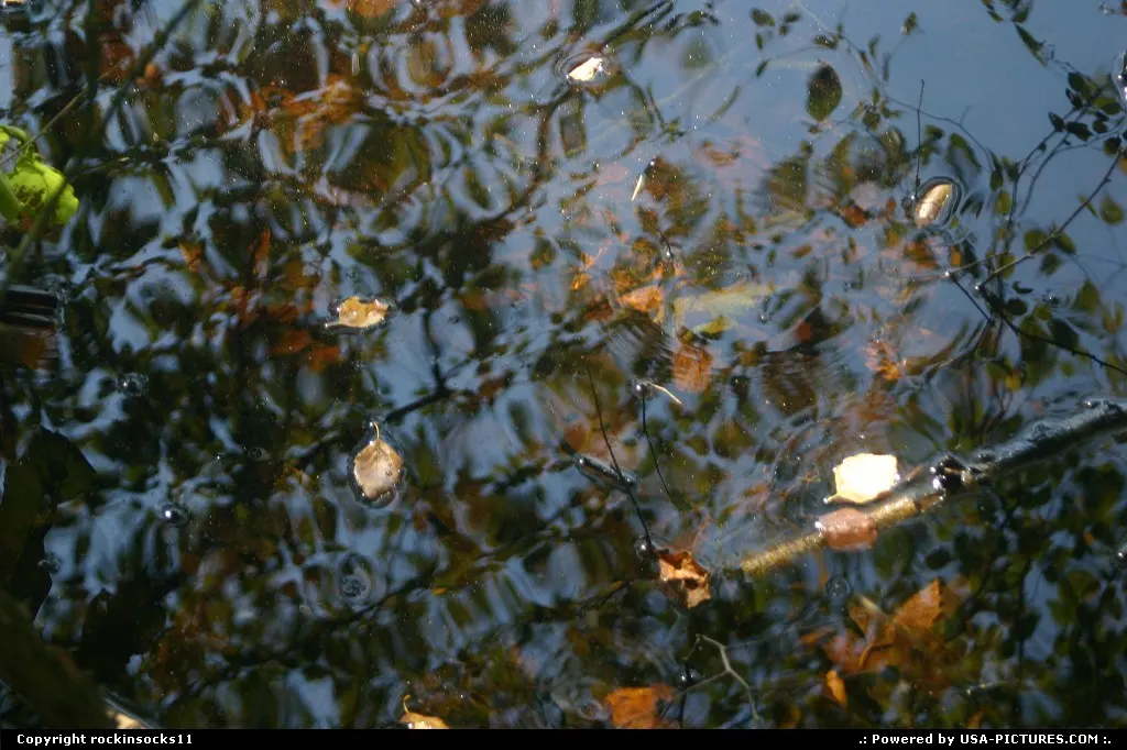 a lake