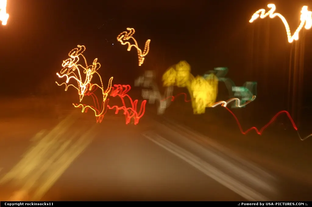 looks like bunnys crossing the street