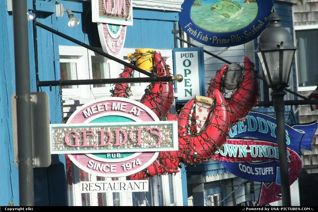Lobster city !!