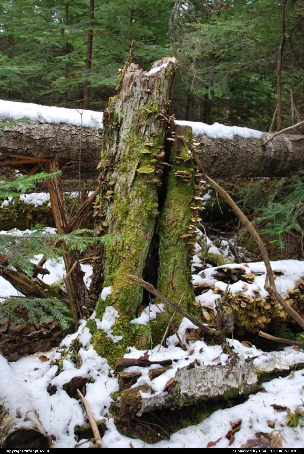 West Forks Maine