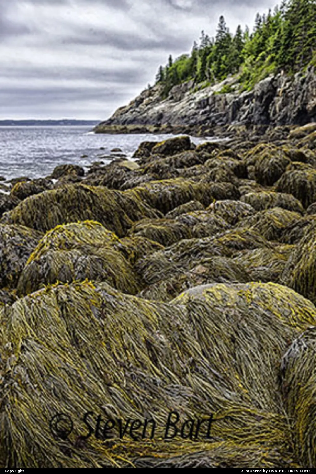 Bar Harbor Maine Hunter Beach, Acadia National Park