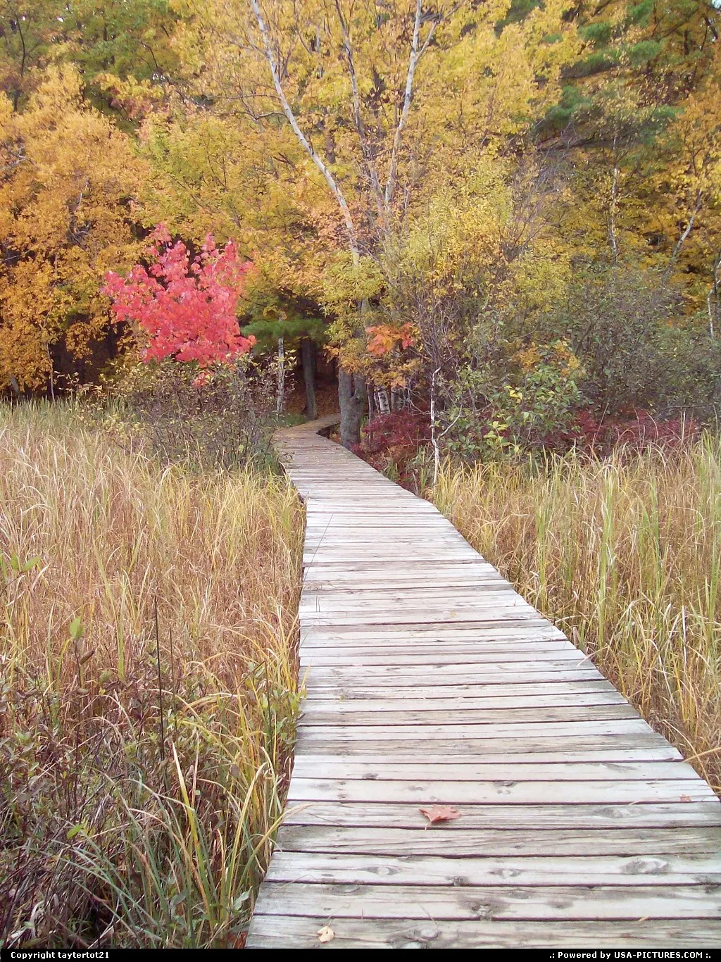 Nature hike.
