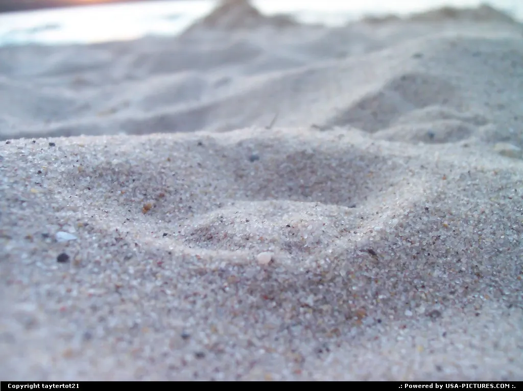 Seagull footprints left in the sand. Otsego State Park beach.
