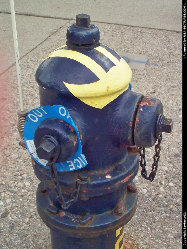 A football helmet fire hydrant at the Michigan Wolverines Stadium.