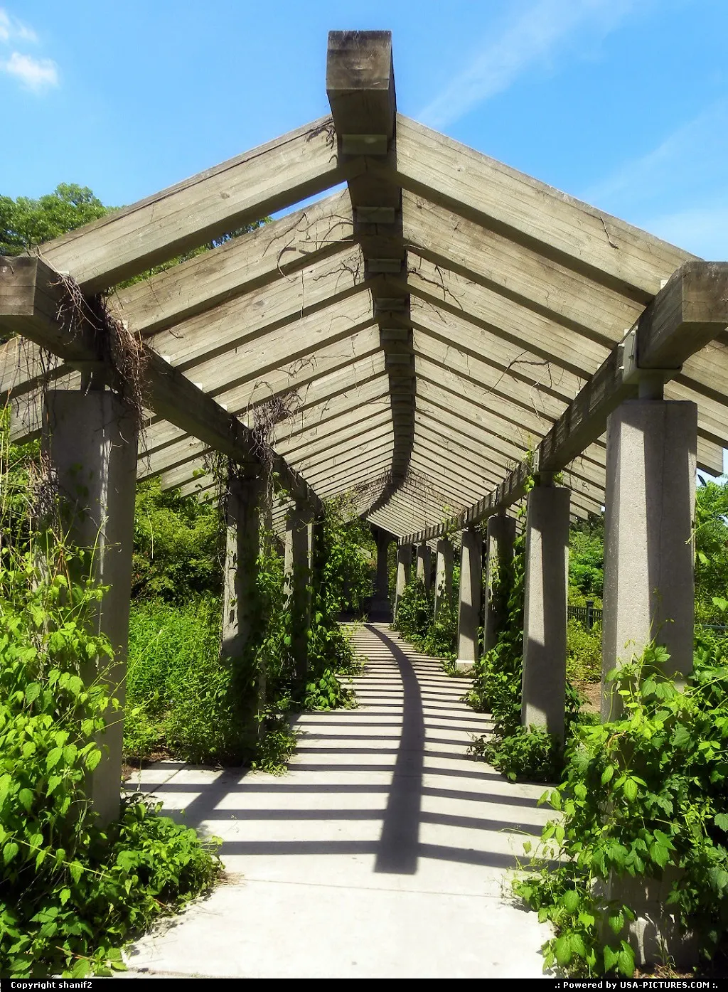 pathway