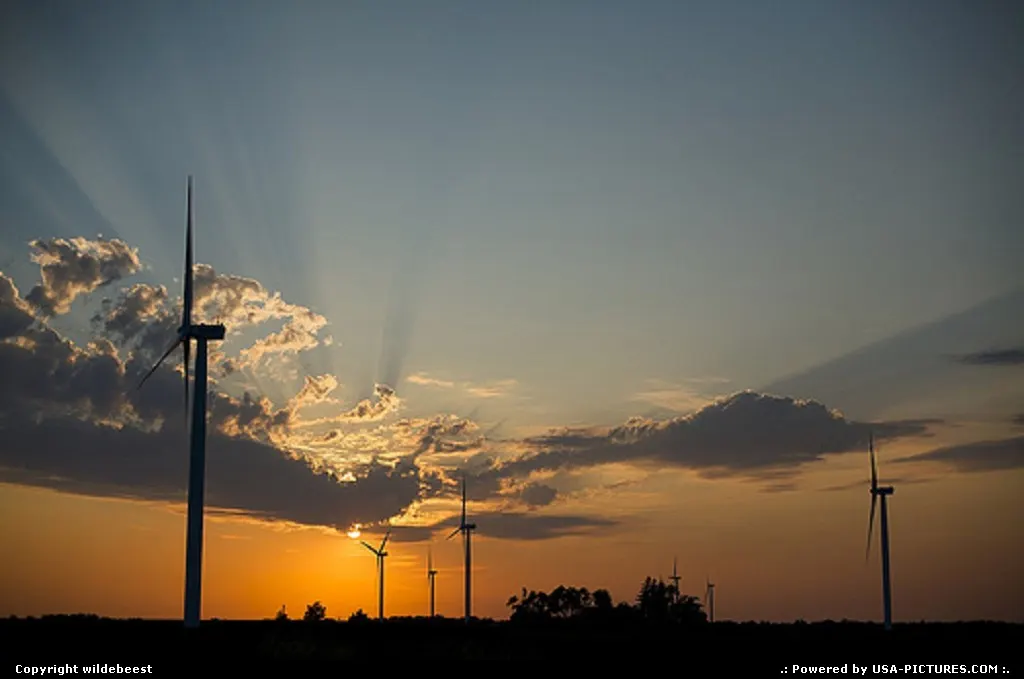 Windmills.
