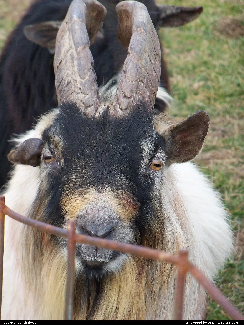 Cassville Missouri